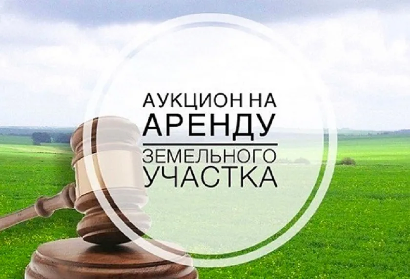 20 февраля 2026 года состоится электронный аукцион на право аренды земельных участков, из земель населённых пунктов для ведения личного подсобного хозяйства.