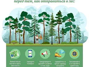 Полиция, МЧС и 20 волонтеров были брошены на поиски 65 летней женщины. Подробности.