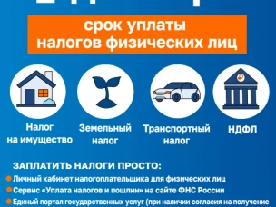 Срок уплаты физическими лицами имущественных налогов (земельный налог, транспортный налог, налог на имущество) истекает 1 декабря