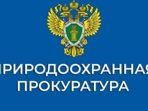 Нижегородская межрайонная  природоохранная прокуратура  разъясняет изменения, внесенные в лесное законодательство