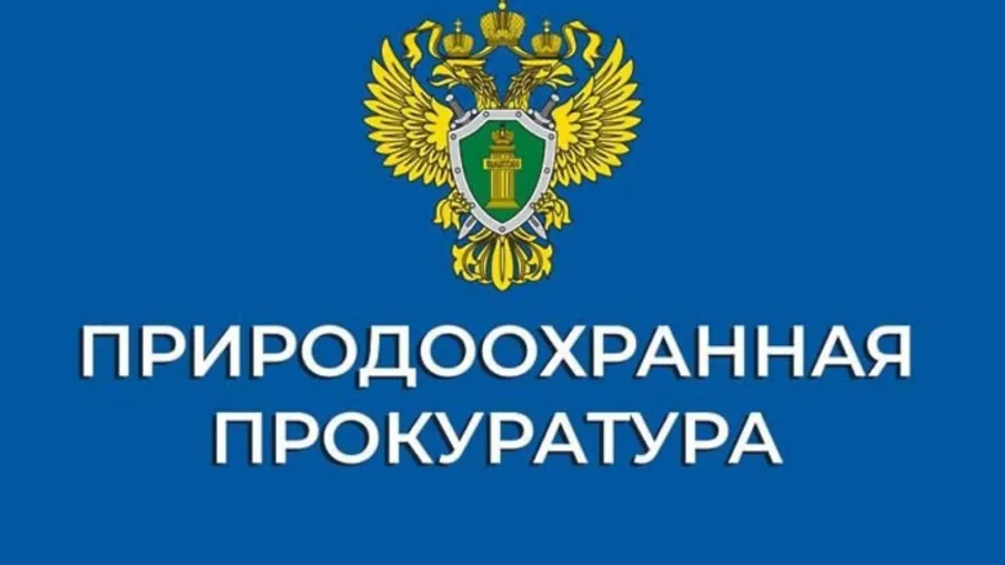 Нижегородская межрайонная  природоохранная прокуратура  разъясняет изменения, внесенные в лесное законодательство