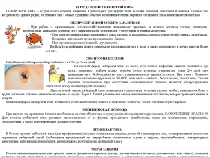 Внимание! В Нижегородской области обнаружена сибирская язва.