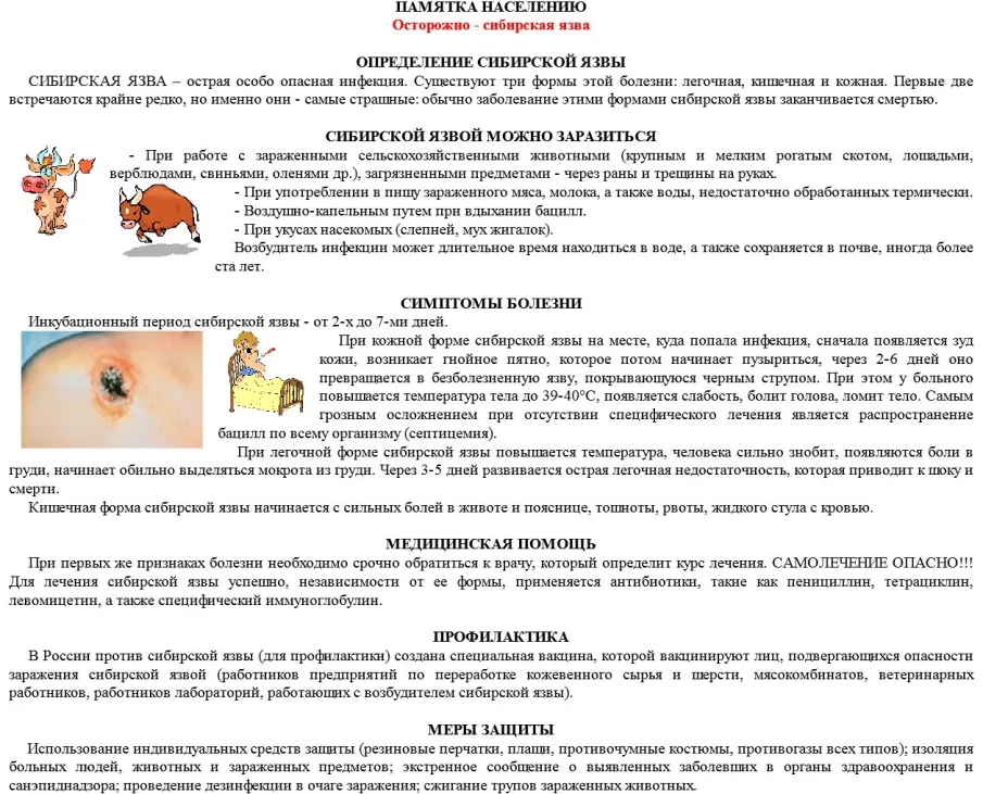 Внимание! В Нижегородской области обнаружена сибирская язва.
