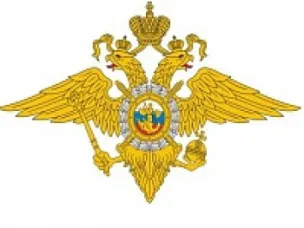 Большеболдинские полицейские раскрыли кражу имущества из частного дома