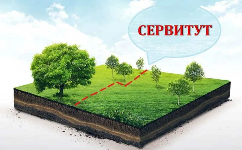 Уведомляем об установлении публичного сервитута (с. Новая Слобода, ул. Советская,д.5)